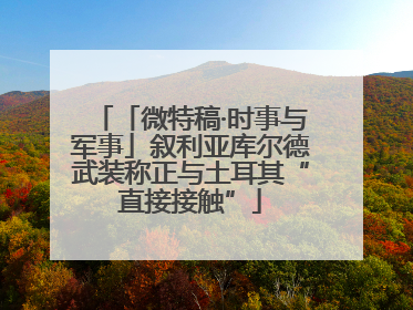 「微特稿·时事与军事」叙利亚库尔德武装称正与土耳其“直接接触”